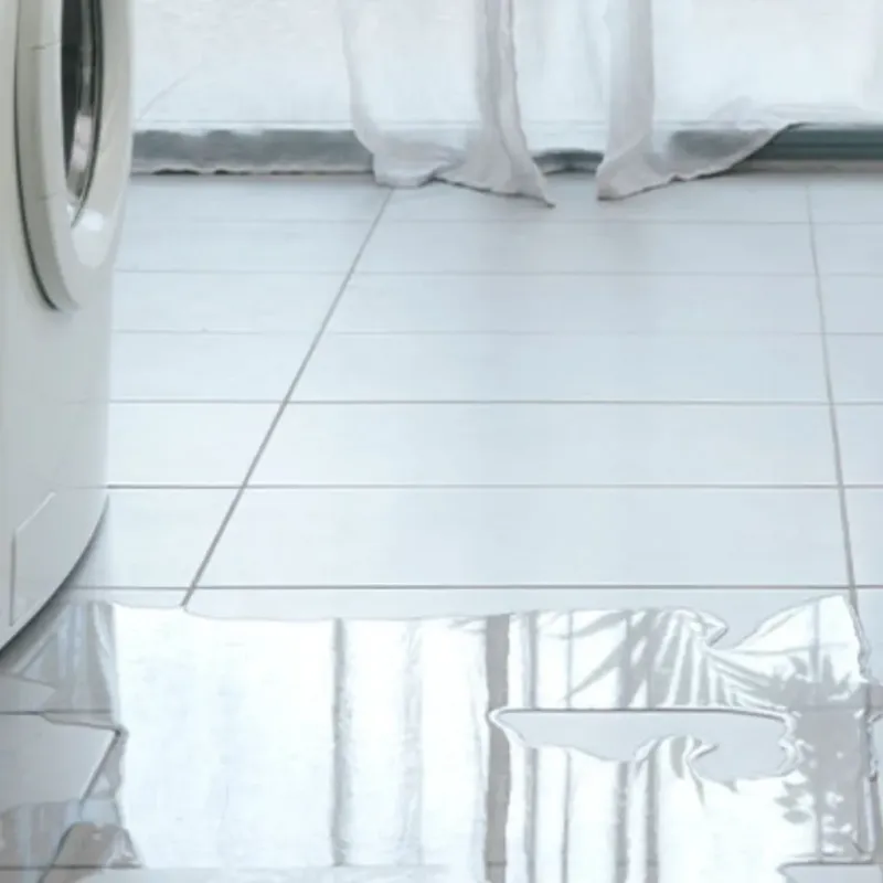 Appliance Leak Cleanup in Carrollton, AL