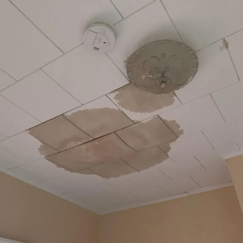 Ceiling Water Damage Repair in Carrollton, AL