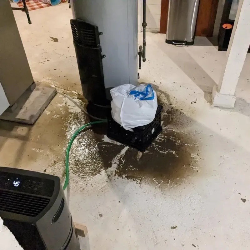 Sewage Backup Cleanup Service in Carrollton, AL